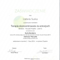 Powiększ obraz: certificate 9