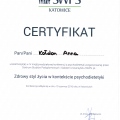 Powiększ obraz: certificate 26