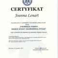 Powiększ obraz: certificate 13