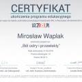 Powiększ obraz: certificate 1