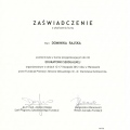Powiększ obraz: certificate 6
