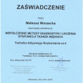 Powiększ obraz: certificate 20