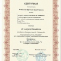 Powiększ obraz: certificate 43