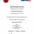 Powiększ obraz: certificate 18