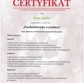 Powiększ obraz: certificate 2