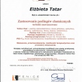 Powiększ obraz: certificate 16
