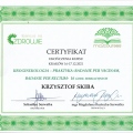 Powiększ obraz: certificate 2