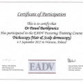 Powiększ obraz: certificate 4