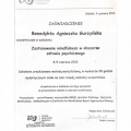 Powiększ obraz: certificate 3