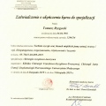 Powiększ obraz: certificate 6