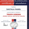 Powiększ obraz: certificate 10