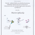 Powiększ obraz: certificate 2
