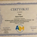 Powiększ obraz: certificate 15