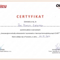 Powiększ obraz: certificate 33