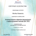 Powiększ obraz: certificate 19
