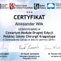 Powiększ obraz: certificate 12