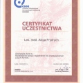 Powiększ obraz: certificate 26