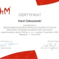 Powiększ obraz: certificate 9