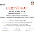 Powiększ obraz: certificate 8