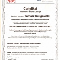 Powiększ obraz: certificate 12