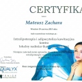 Powiększ obraz: certificate 20