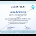 Powiększ obraz: certificate 1
