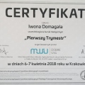 Powiększ obraz: certificate 8