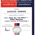 Powiększ obraz: certificate 4