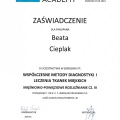 Powiększ obraz: certificate 3