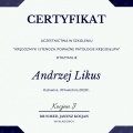 Powiększ obraz: certificate 21