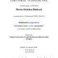 Powiększ obraz: certificate 13