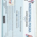 Powiększ obraz: certificate 12