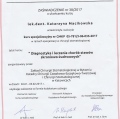 Powiększ obraz: certificate 1