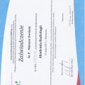 Powiększ obraz: certificate 12
