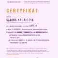 Powiększ obraz: certificate 13