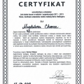 Powiększ obraz: certificate 8