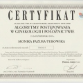 Powiększ obraz: certificate 11