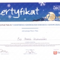 Powiększ obraz: certificate 12