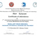 Powiększ obraz: certificate 8