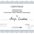 Powiększ obraz: certificate 1