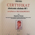 Powiększ obraz: certificate 1