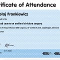 Powiększ obraz: certificate 5
