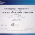 Powiększ obraz: certificate 7