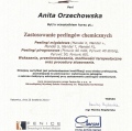 Powiększ obraz: certificate 19