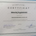 Powiększ obraz: certificate 3