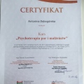 Powiększ obraz: certificate 2