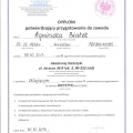 Powiększ obraz: certificate 3