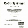 Powiększ obraz: certificate 33