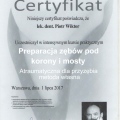 Powiększ obraz: certificate 11