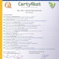 Powiększ obraz: certificate 28